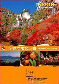 vol155